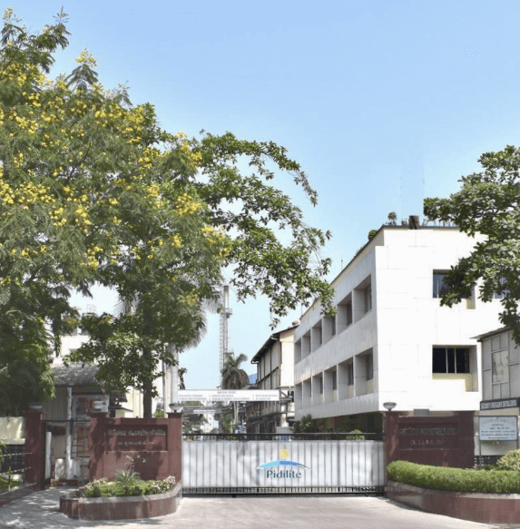 Our Pigment Division