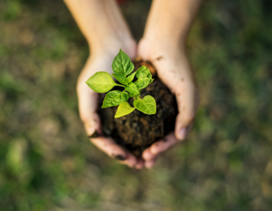 Sustainability Approach